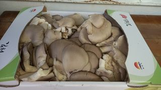 대지털님의 자유주제 · 자유게시판 작성글 사진