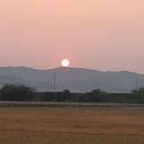 팜모닝 자유주제·자유게시판 게시글 이미지