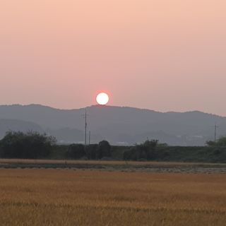 항즐인(즐거운사람)님의 자유주제 · 자유게시판 작성글 사진