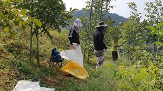 안광희님의 기타작물 · 영농일지 작성글 사진