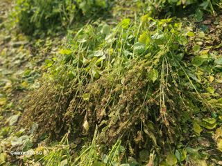 시골농부현장 현장박님의 작성글 사진