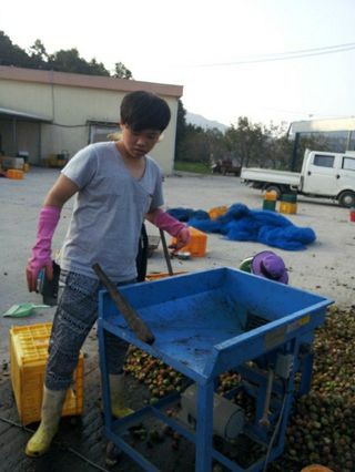 이명기님의 기타작물 · 영농일지 작성글 사진