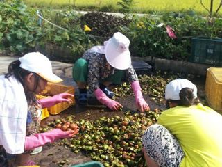 이명기님의 기타작물 · 영농일지 작성글 사진