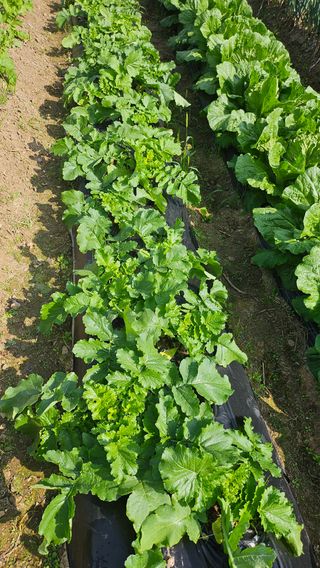 이원복님의 자유주제 · 사진전 작성글 사진