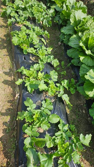 이원복님의 자유주제 · 사진전 작성글 사진