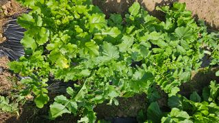 이원복님의 자유주제 · 사진전 작성글 사진