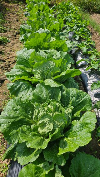 이원복님의 자유주제 · 사진전 작성글 사진