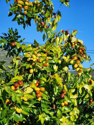 신평식님의 자유주제 · 자유게시판 작성글 사진