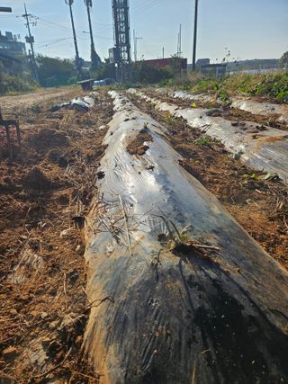 호박12662님의 자유주제 · 자유게시판 작성글 사진