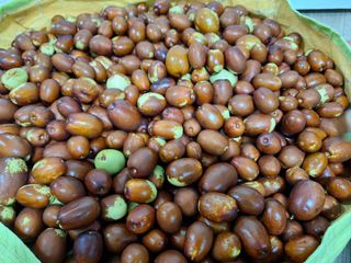 조태호님의 작성글 사진