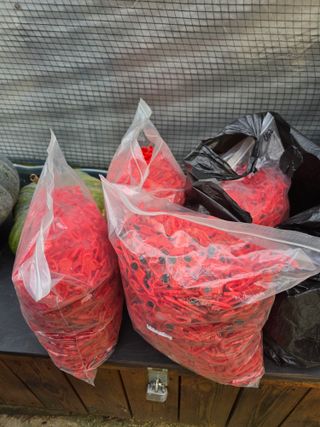 낙엽교목류13544님의 자유주제 · 자유게시판 작성글 사진