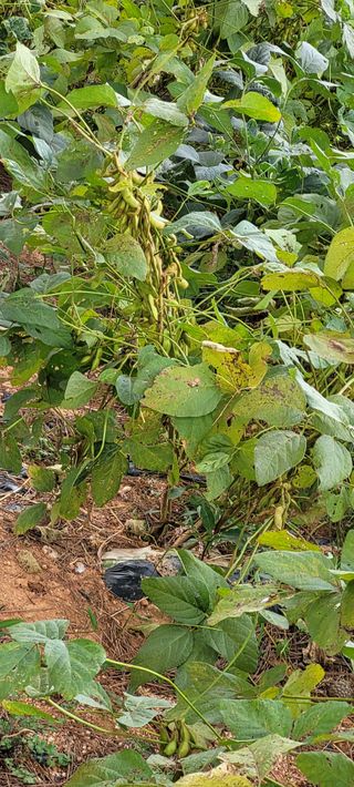 한성님의 자유주제 · 자유게시판 작성글 사진