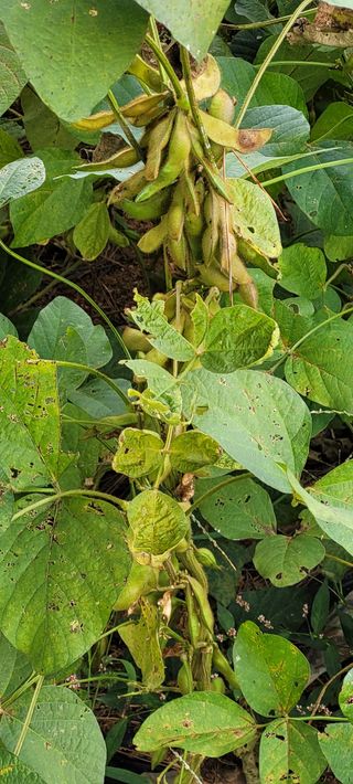 한성님의 자유주제 · 자유게시판 작성글 사진