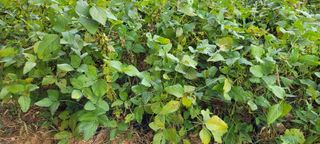 한성님의 자유주제 · 자유게시판 작성글 사진