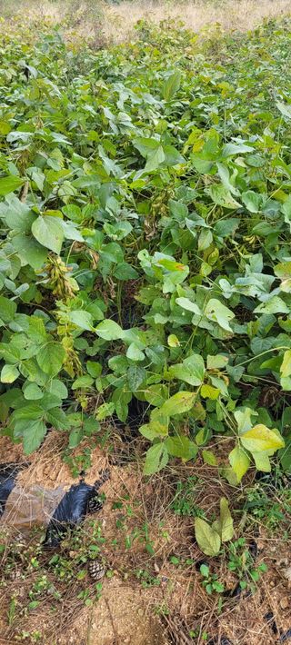 한성님의 자유주제 · 자유게시판 작성글 사진