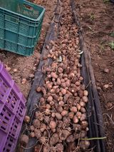 팜모닝 자유주제·자유게시판 게시글 이미지