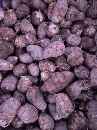 약초꾼님의 자유주제 · 자유게시판 작성글 사진