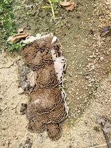 팜모닝 자유주제·자유게시판 게시글 이미지