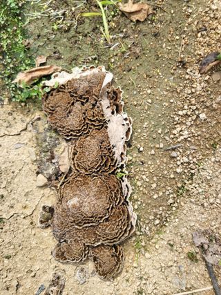 이원정님의 자유주제 · 자유게시판 작성글 사진