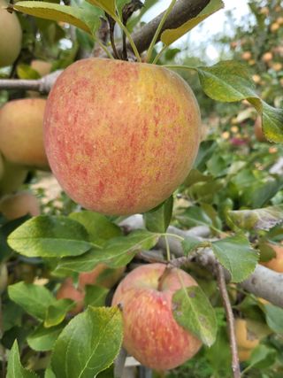 이원정님의 자유주제 · 자유게시판 작성글 사진