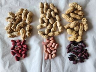 한상경님의 자유주제 · 자유게시판 작성글 사진