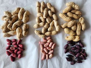 한상경님의 자유주제 · 자유게시판 작성글 사진