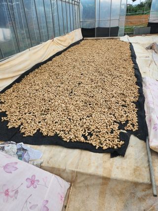 한상경님의 자유주제 · 자유게시판 작성글 사진