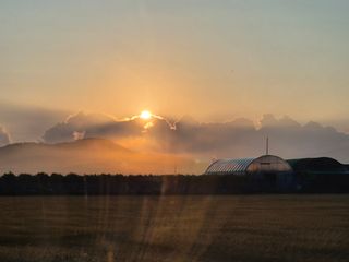 차파는농민(장보고)님의 [팜춘문예] 짧은 시 쓰기| 2024 · 참여글 작성글 사진