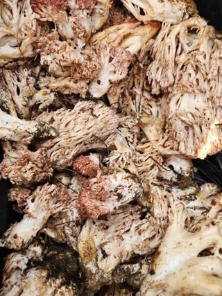 김영옥님의 자유주제 · 자유게시판 작성글 사진