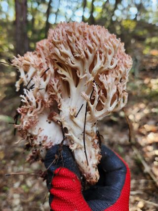 김영옥님의 자유주제 · 자유게시판 작성글 사진