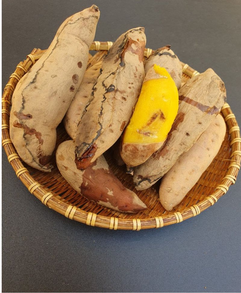 장터 상품 [안면도 꿀고구마 최저가로 드려요.] 썸네일