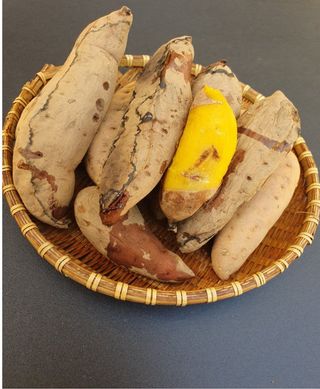 해풍님의 작성글 사진