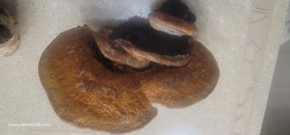 양배추30542님의 자유주제 · 사진전 작성글 사진