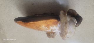 양배추30542님의 자유주제 · 사진전 작성글 사진