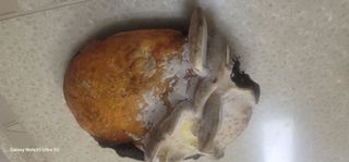 양배추30542님의 자유주제 · 사진전 작성글 사진