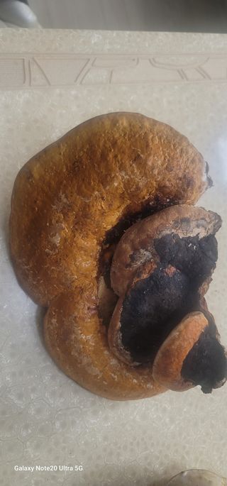 양배추30542님의 자유주제 · 사진전 작성글 사진