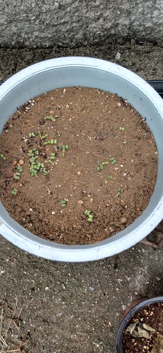 김해숙님의 자유주제 · 자유게시판 작성글 사진