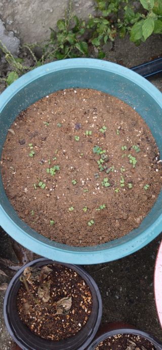 김해숙님의 자유주제 · 자유게시판 작성글 사진