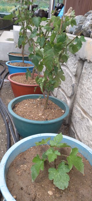 김해숙님의 자유주제 · 자유게시판 작성글 사진