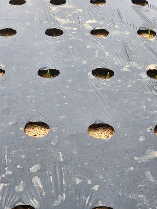 이대석님의 자유주제 · 자유게시판 작성글 사진