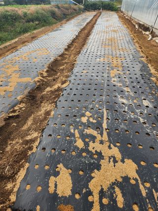 이대석님의 자유주제 · 자유게시판 작성글 사진