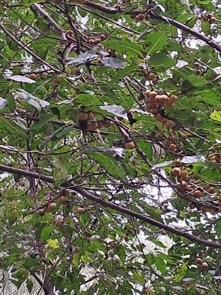 식만동 복합영농님의 [팜춘문예] 짧은 시 쓰기| 2024 · 참여글 작성글 사진