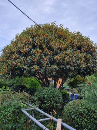 이남신님의 자유주제 · 자유게시판 작성글 사진