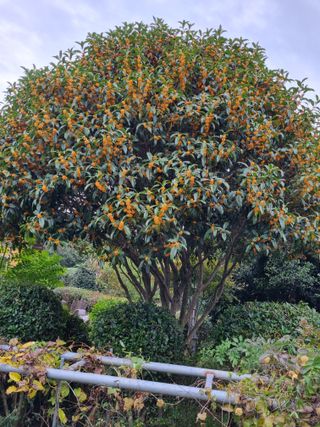 이남신님의 자유주제 · 자유게시판 작성글 사진