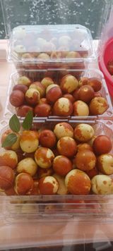 팜모닝 [팜춘문예] 짧은 시 쓰기| 2024·참여글 게시글 이미지