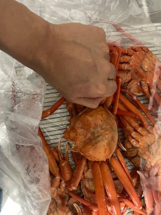 노가네수산님의 자유주제 · 사진전 작성글 사진