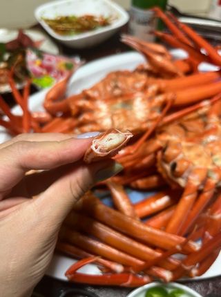 노가네수산님의 자유주제 · 사진전 작성글 사진