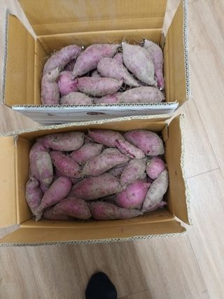 이상근 님의 자유주제 · 자유게시판 작성글 사진