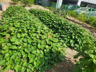 조상희님의 자유주제 · 자유게시판 작성글 사진