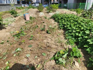 조상희님의 자유주제 · 자유게시판 작성글 사진